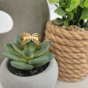 Bague acier inoxydable